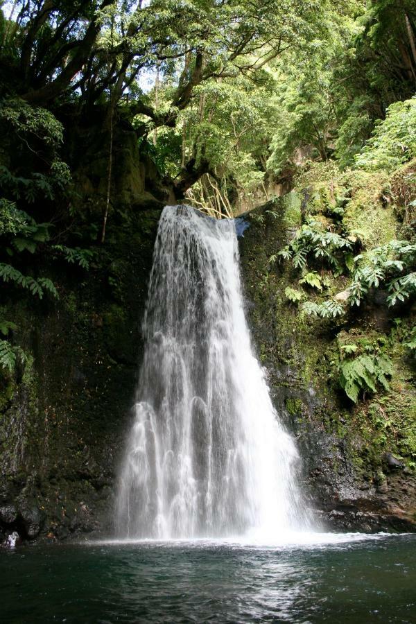 Отель Aldeia Do Sanguinho Faial da Terra Экстерьер фото